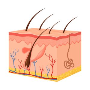İzmir Dermatolog Dr. Orhan Demirer 7 İzmir dermatolog Dr. Orhan Demirer kliniğinde klinik dermatoloji değerlendirmesi